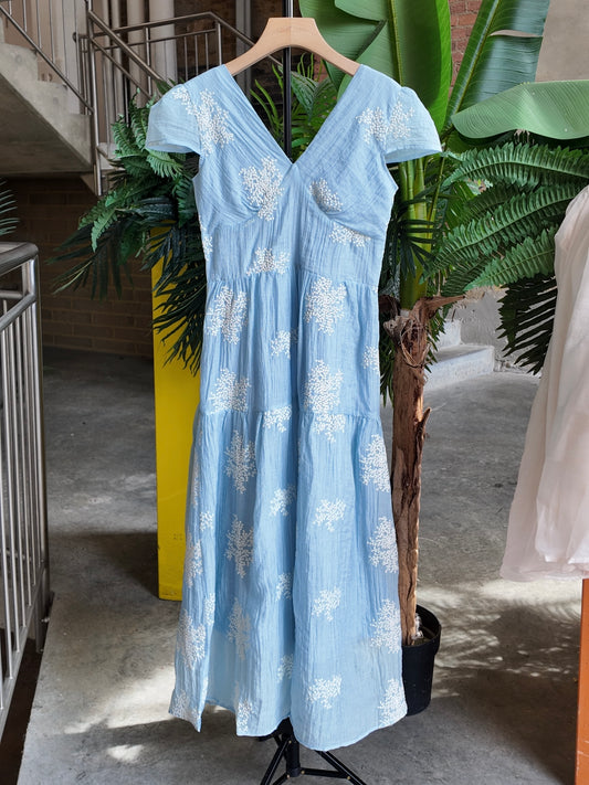 Embroidered Meadow Dress in Sky Blue